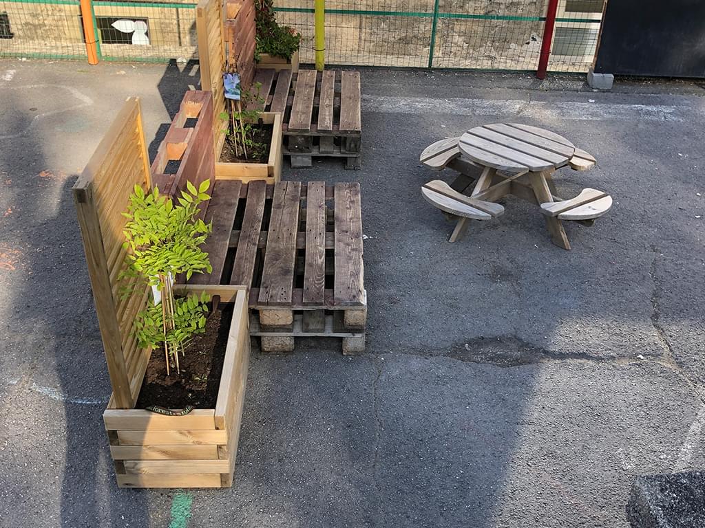Image décorations bacs plantes vertes